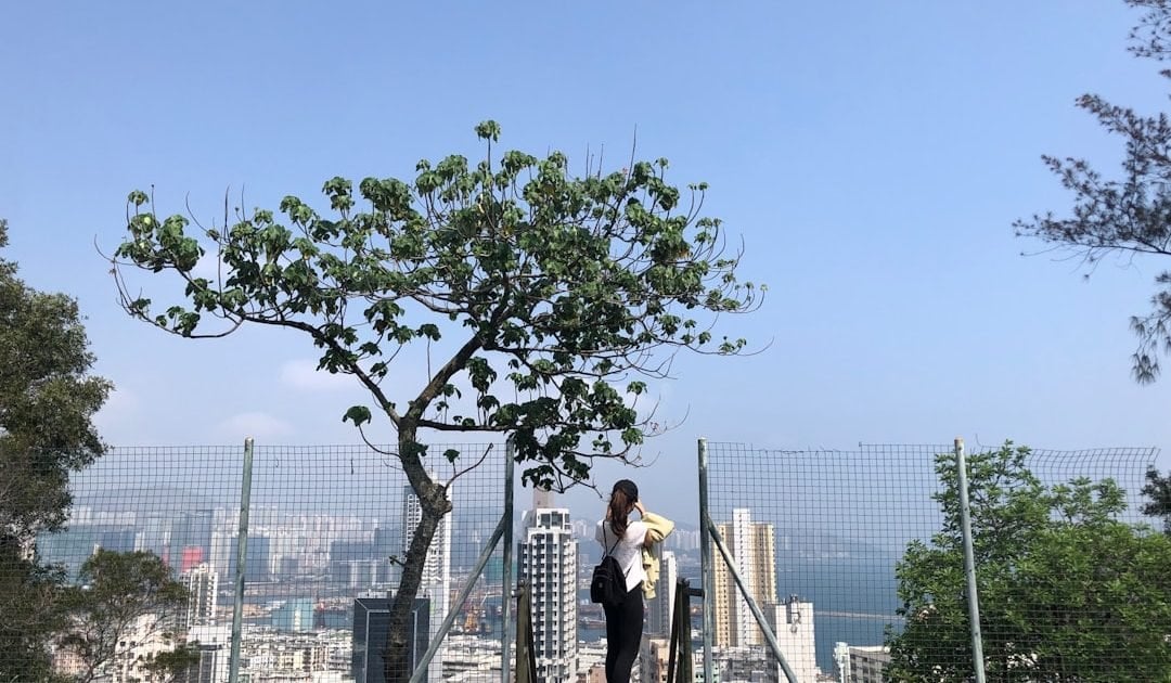 AIG意外保險好唔好｜ 美亞個人意外保障範圍／保費／索償流程一覽