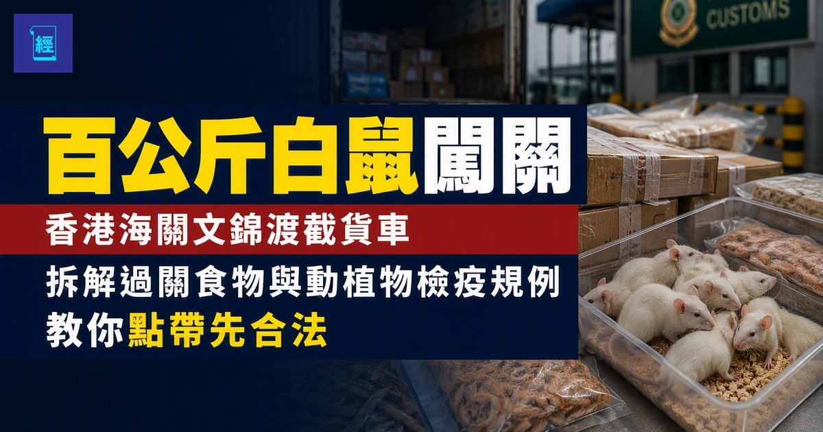 【百公斤曱甴白鼠闖關】香港海關文錦渡截貨車　拆解過關食物與動植物檢疫規例　教你點帶先合法