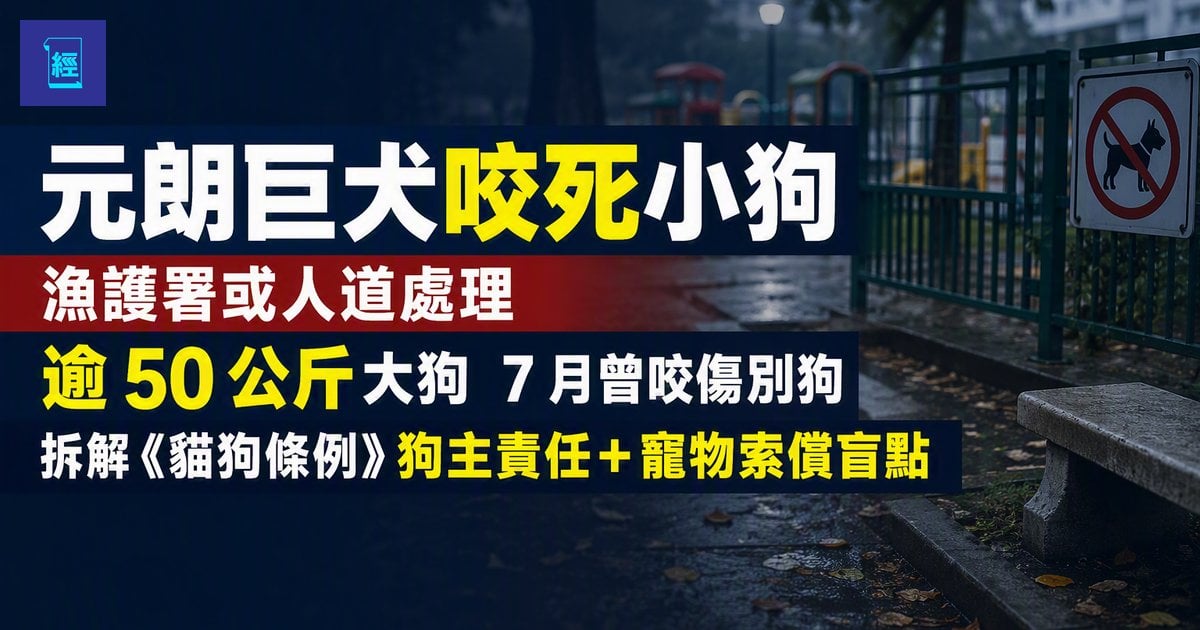 【元朗巨犬咬死小狗】漁護署或人道處理 逾 50 公斤大狗　7 月曾咬傷別狗　拆解《貓狗條例》狗主責任＋寵物索償盲點