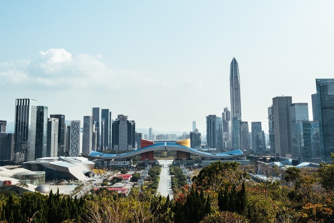 深圳醫保申請資格-深圳市中心天際線