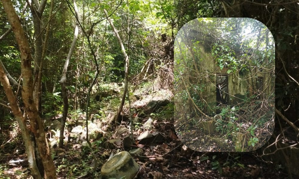 38萬做西貢地主│黃宜洲隱世地皮拍賣、須每日徒步行山返屋企！「鄉郊式發展」不等於可即起屋？
