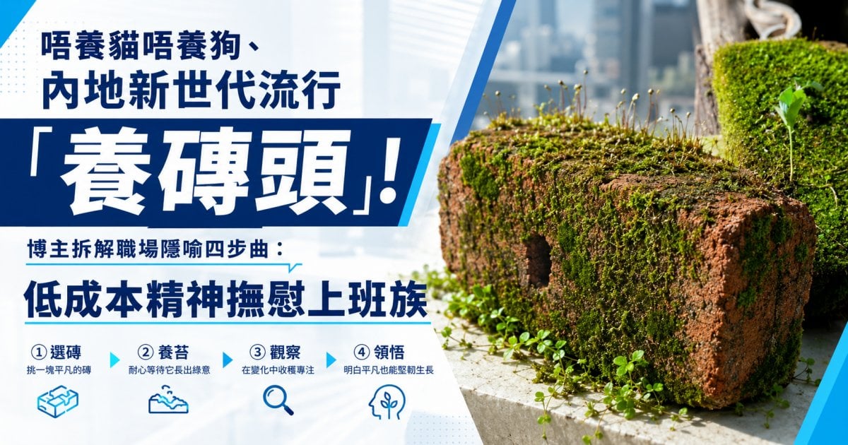 唔養貓唔養狗、內地新世代流行「養磚頭」！博主拆解職場隱喻四步曲：低成本精神撫慰上班族